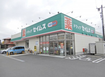 ドラッグセイムス 川越小室店