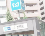 護国寺