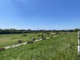 多摩川玉川公園の画像