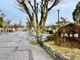 葛城公園の画像