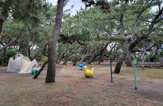 茅ヶ崎市立小和田浜公園