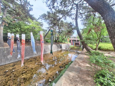 夙川公園の画像1