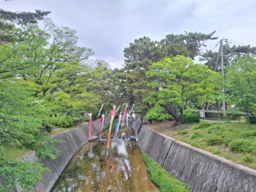 夙川公園の画像3