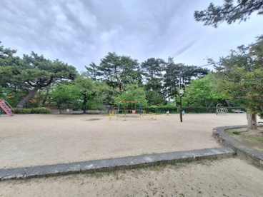 夙川公園の画像4