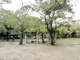 大庄公園の画像