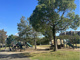 広尾防災公園の画像