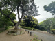 神の木公園の画像
