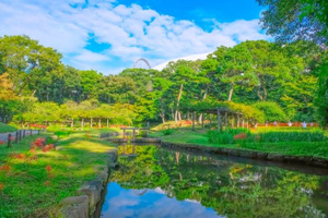 小石川後楽園の画像