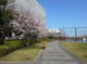 あさひ海老取川公園の画像
