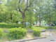 新加島公園の画像
