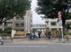 国立東京大学教育学部附属中等教育学校の画像