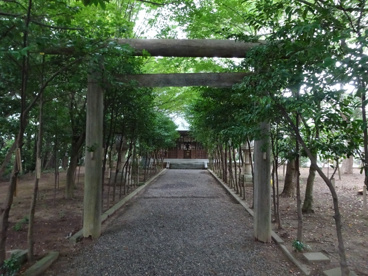 縣居神社の画像5