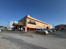 TAIRAYA 宝珠花店