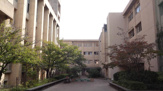 深津中学校