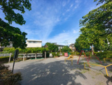 公園 桐の木公園