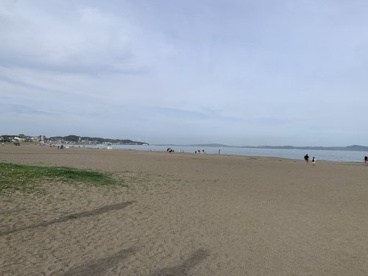 三浦海岸の画像1