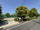 山崎公園の画像