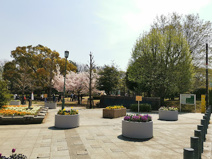 湘南台公園