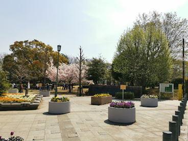 湘南台公園の画像1