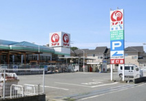 コメリハード＆グリーン豊田店