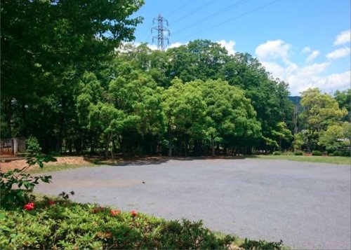 の画像