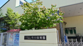 市川保育園