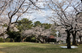 山王公園