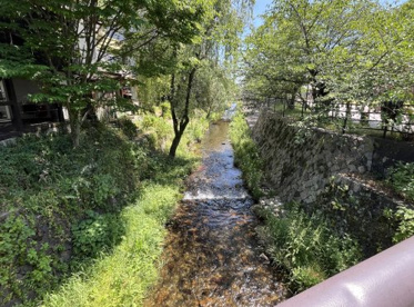 一の坂川の画像1