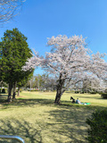 高野台公園