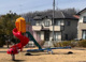 花と緑の公園の画像