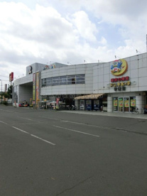 ドンキ・ホーテ手稲店の画像1