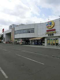 ドンキ・ホーテ手稲店の画像2