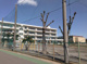 行田市立西小学校の画像
