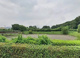内出公園の画像