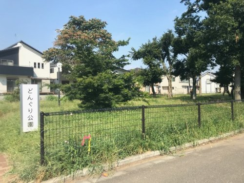 どんぐり公園の画像