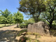 公園の画像