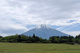 朝霧自然公園(朝霧アリーナ)の画像