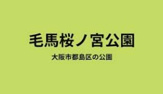 毛馬桜之宮公園