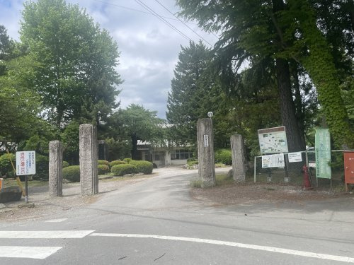 の画像
