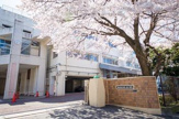 初音が丘小学校
