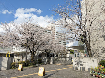品川区立台場小学校の画像1
