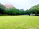 大岡公園の画像