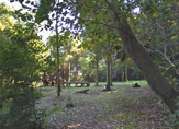 衣笠山公園