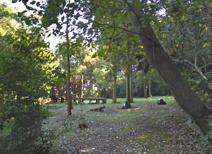 衣笠山公園
