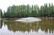 別所沼公園の画像