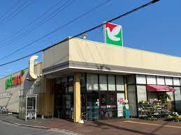 ヨークマート厚木妻田店の画像1