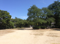 公園 大物公園