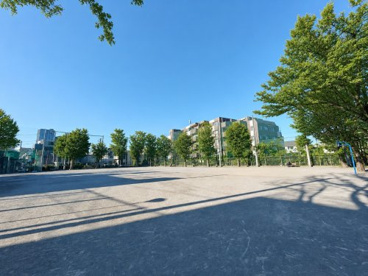 区立谷戸運動公園の画像1