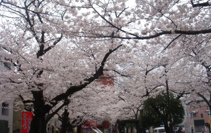 新城公園の画像1