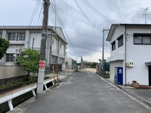 の画像